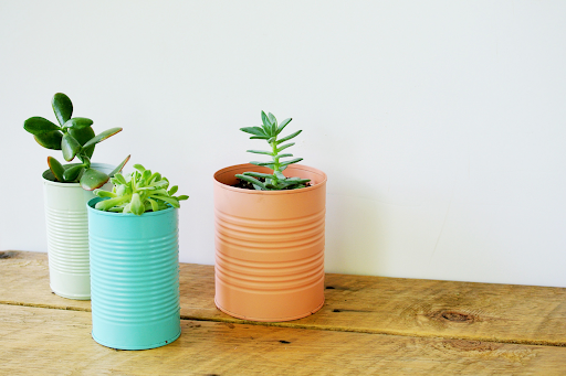 cheap plant pots